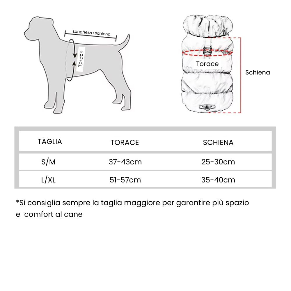 PufferMood: Puffer Jacket