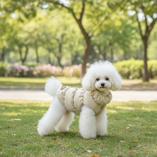 PufferMood: Puffer Jacket